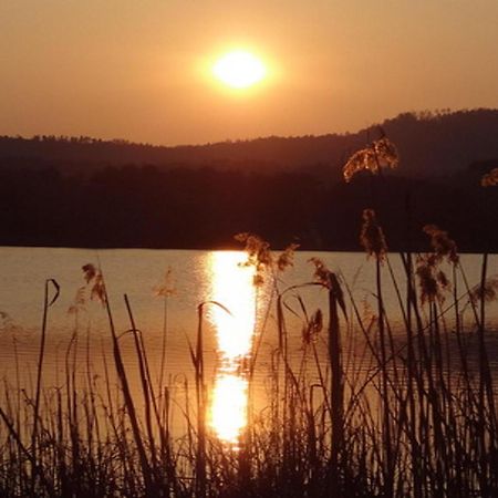 Obersammelsdorf Ilsenhof Am Turnersee מראה חיצוני תמונה